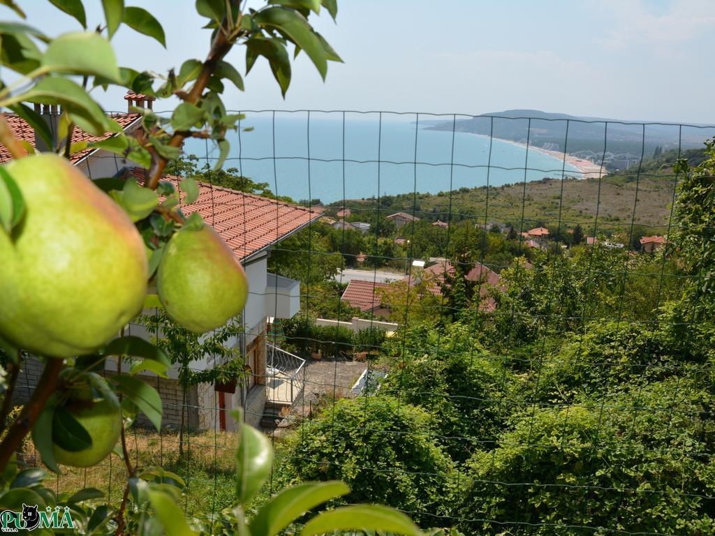 Villa Puma Balcic Cameră foto